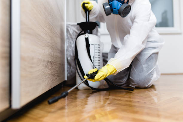 Best Best Pest Control Companies  in New Franklin, MO