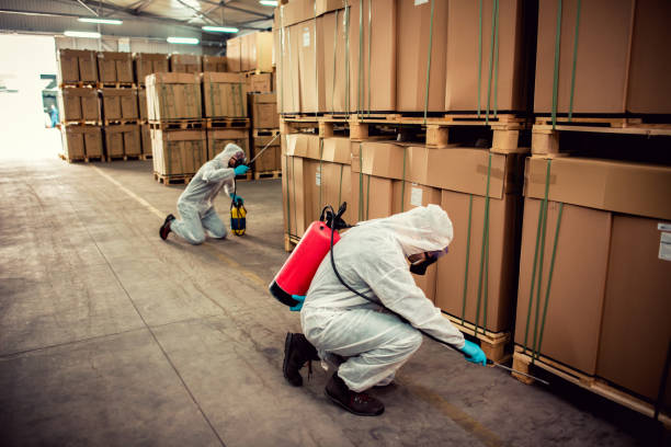Best Mosquito Control Services  in New Franklin, MO