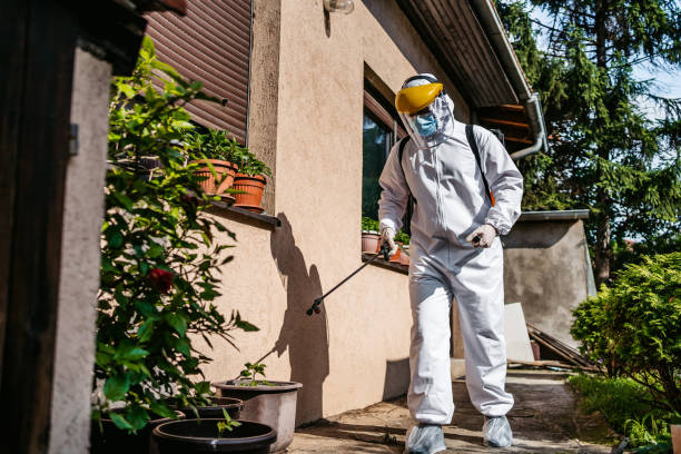 Best Affordable Pest Control Services  in New Franklin, MO