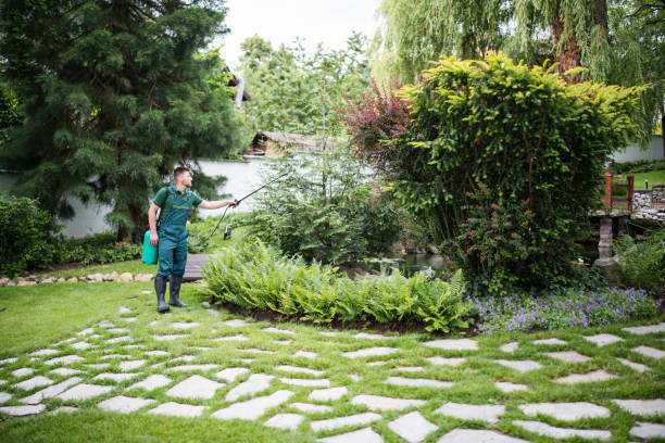 Reliable New Franklin, MO Pest Control Solutions