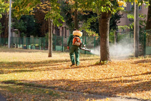 Best Insect Control  in New Franklin, MO