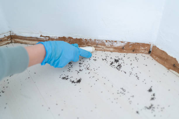 Best Pest Control for Businesses  in New Franklin, MO